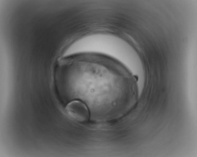 X0000114430447200910231237