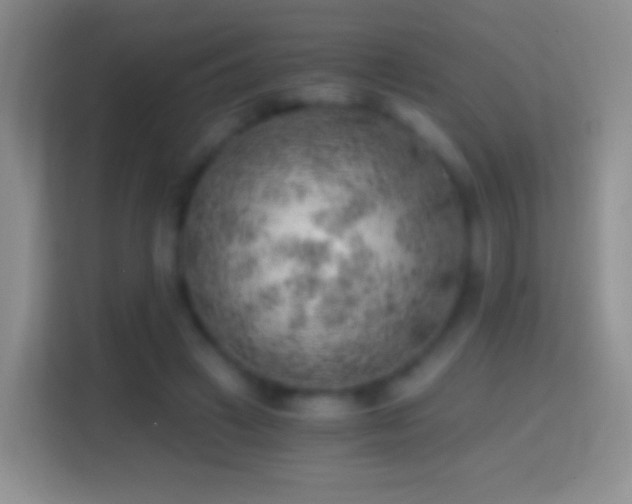 X0000114430449200910231237
