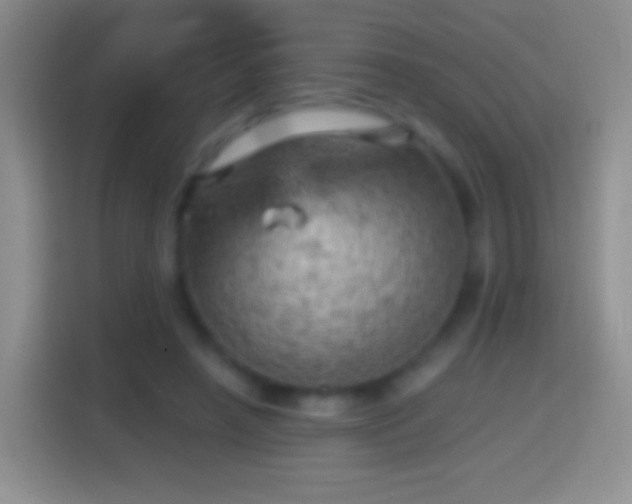 X0000114430450200910231237