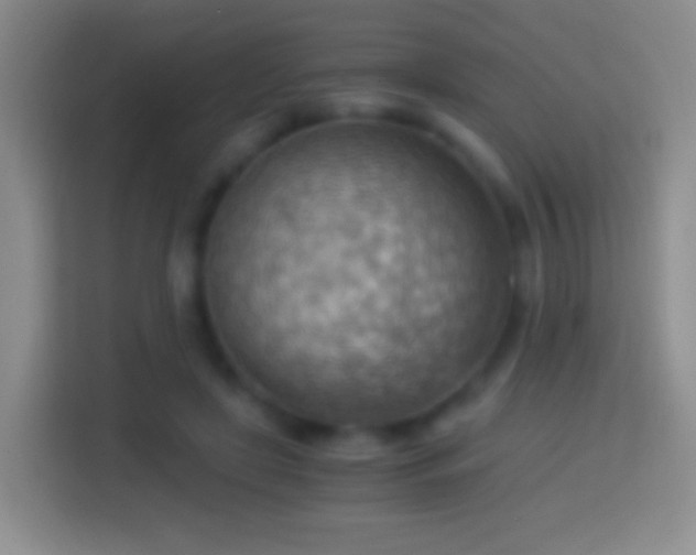 X0000114430451200910231237