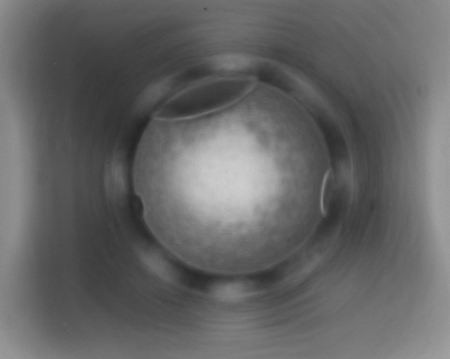 X0000114430452200910231237