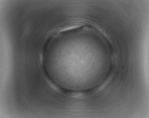X0000114430454200910231237