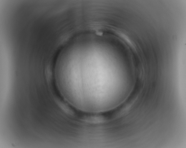 X0000114430455200910231237