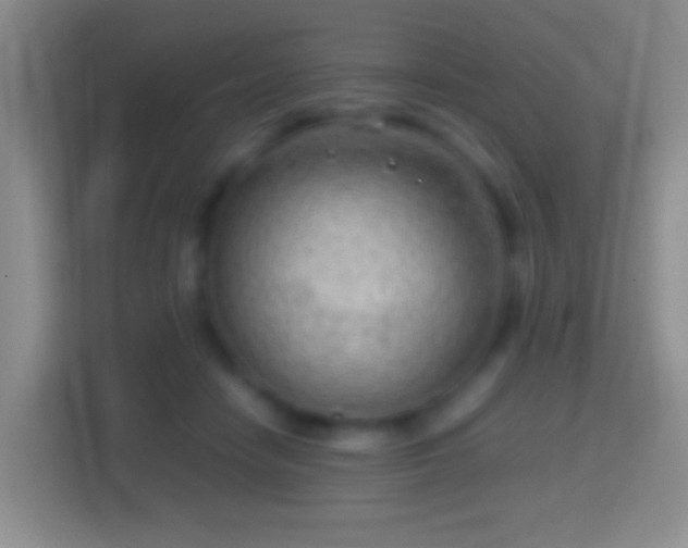 X0000114430458200910231237