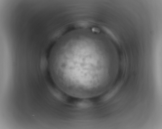 X0000114430459200910231237