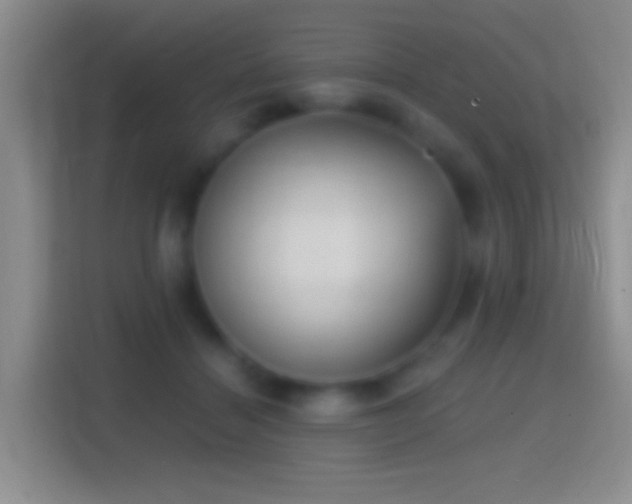 X0000114430460200910231237