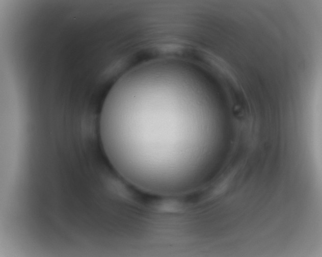 X0000114430462200910231237