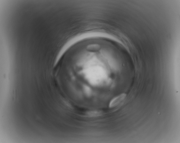 X0000114430465200910231237