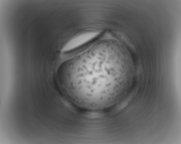 X0000114430466200910231237