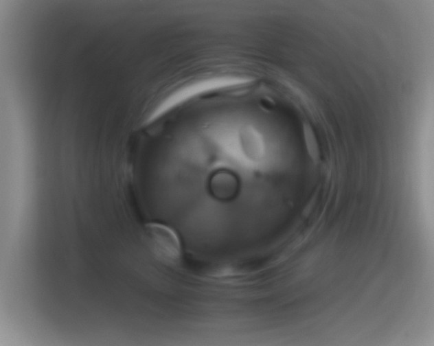 X0000114430467200910231237