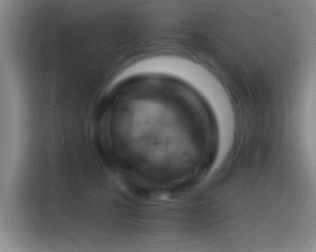 X0000114430471200910231237