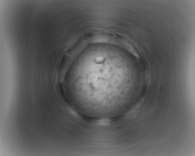 X0000114430474200910231237