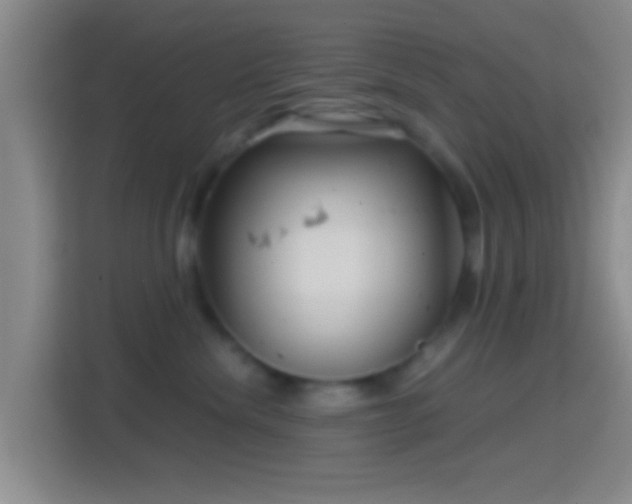 X0000114430476200910231237