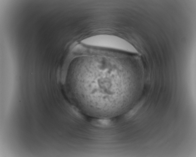 X0000114430478200910231237
