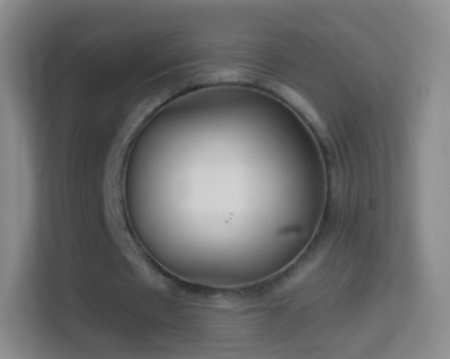 X0000114430481200910231237