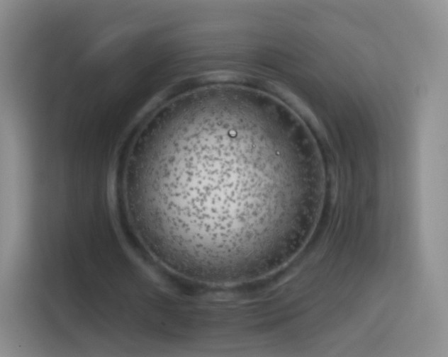 X0000114430482200910231237
