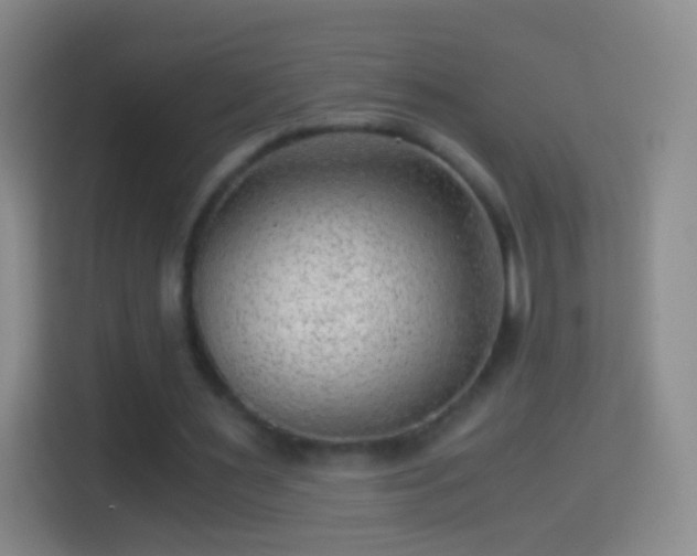 X0000114430483200910231237