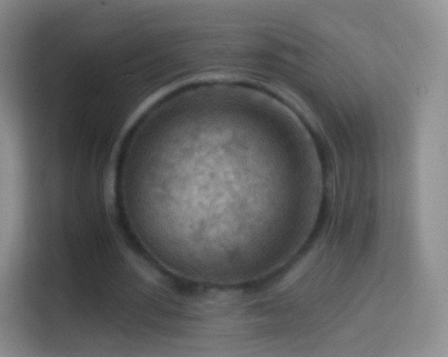X0000114430484200910231237