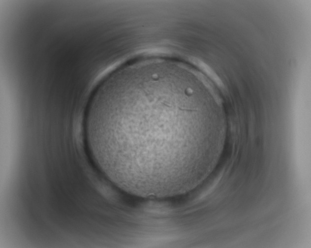 X0000114430487200910231237
