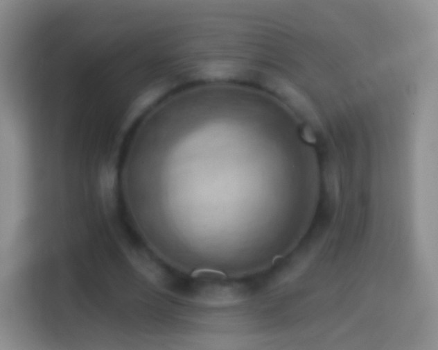 X0000114430488200910231237