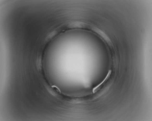 X0000114430489200910231236