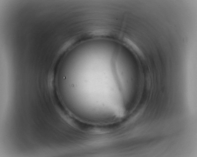 X0000114430490200910231236