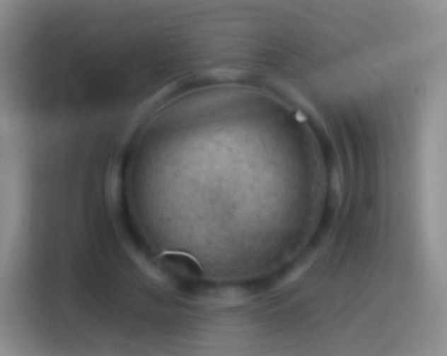 X0000114430492200910231236