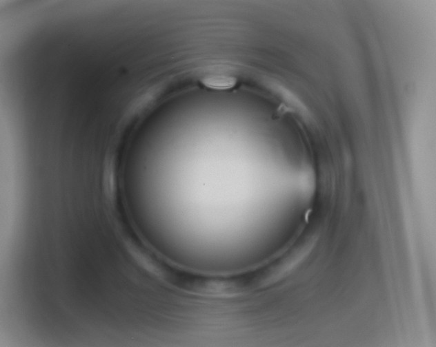 X0000114430493200910231236