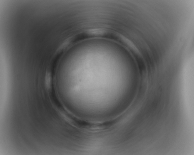 X0000114430494200910231236