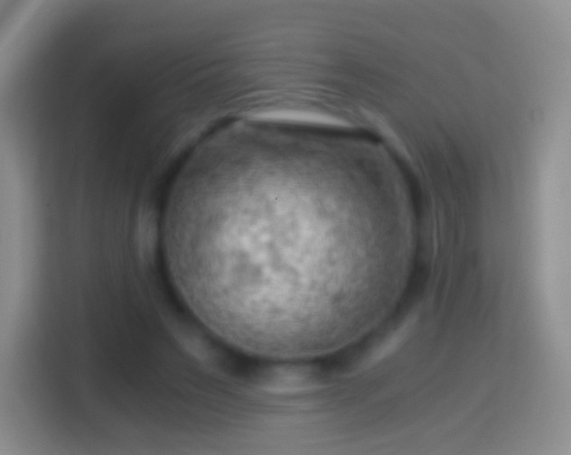 X0000114430495200910231236