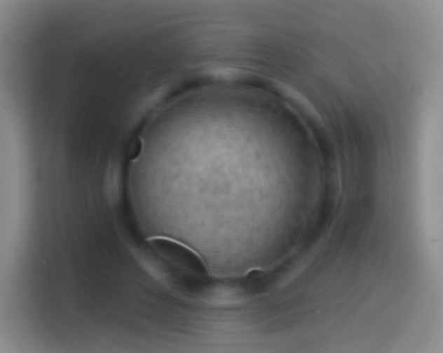 X0000114430496200910231236