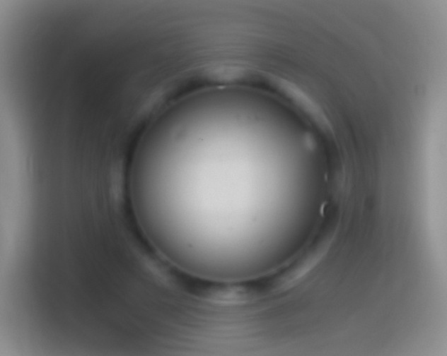 X0000114430497200910231236