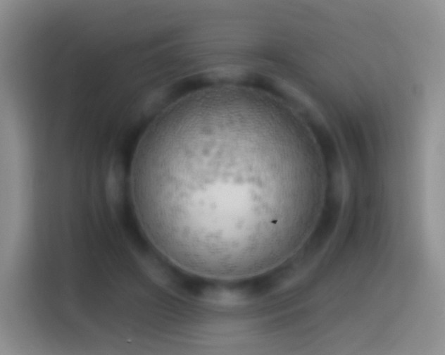 X0000114430498200910231236