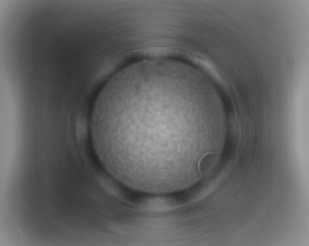 X0000114430499200910231236