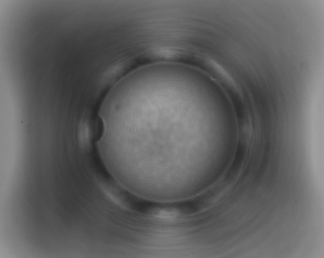 X0000114430500200910231236