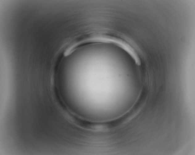 X0000114430501200910231236