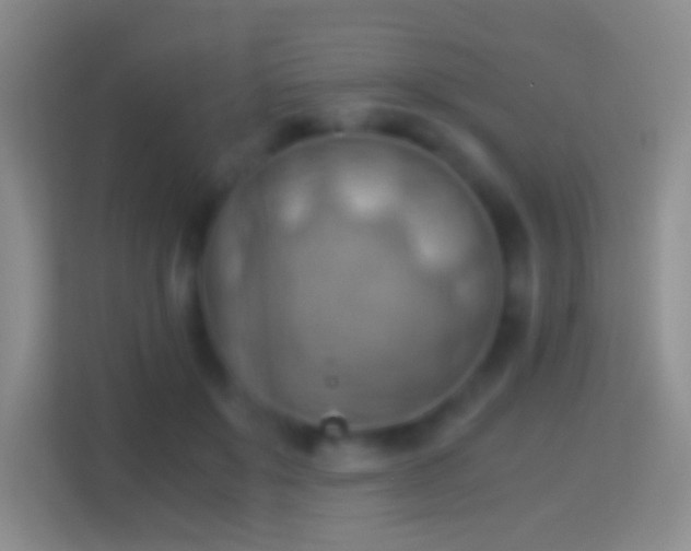 X0000114430503200910231236