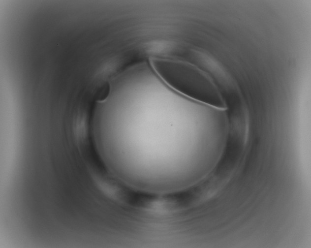 X0000114430504200910231236