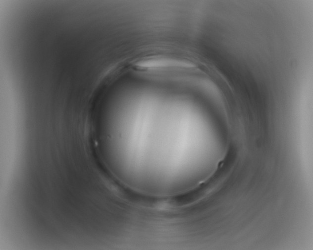 X0000114430505200910231236