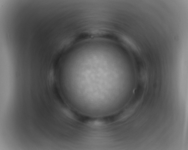 X0000114430506200910231236