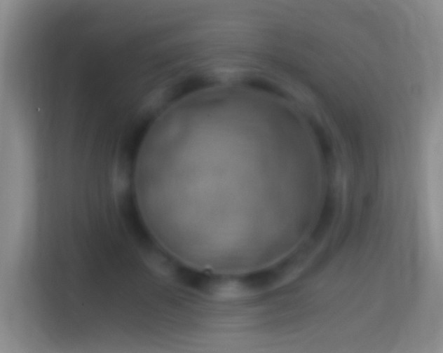 X0000114430507200910231236