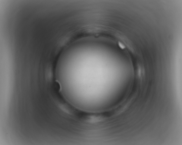 X0000114430508200910231236