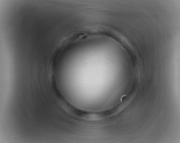 X0000114430509200910231236