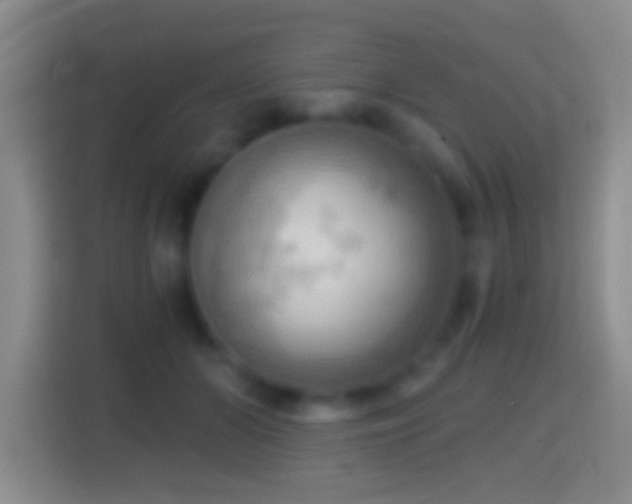 X0000114430510200910231236