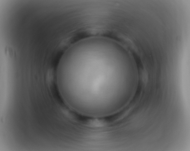 X0000114430511200910231236
