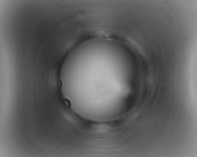 X0000114430512200910231236