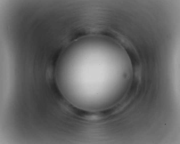 X0000114430514200910231236