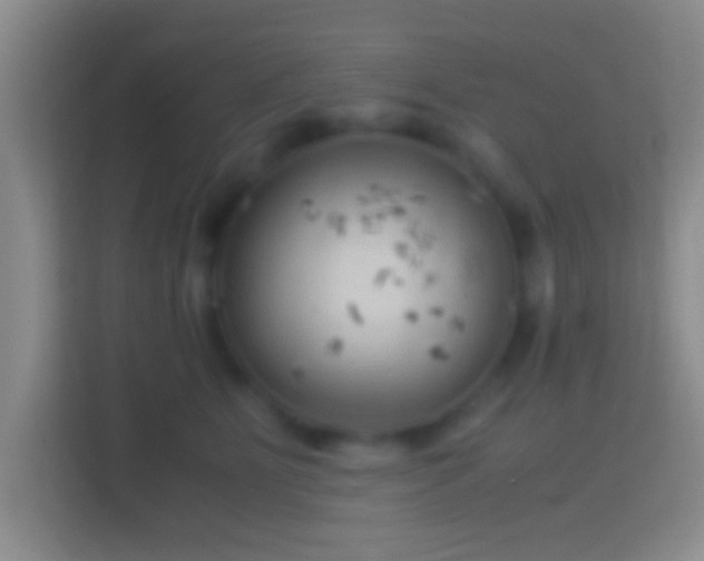 X0000114430515200910231236