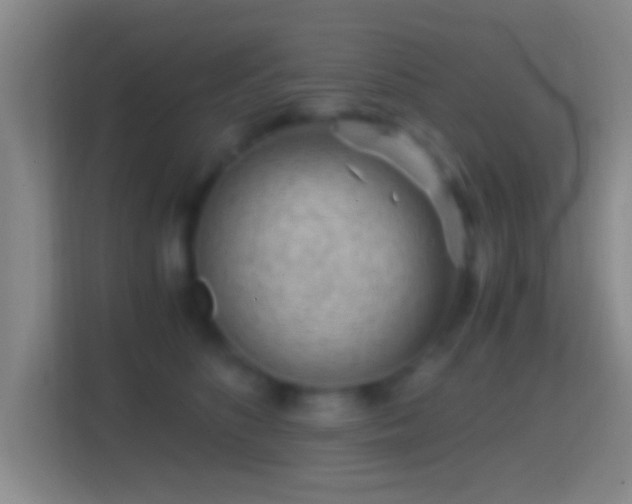 X0000114430516200910231236