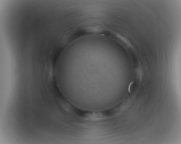 X0000114430517200910231236